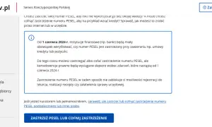 Czy można wziąć chwilówkę na PESEL? Sprawdź, co musisz wiedzieć