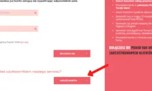 Jak sprawdzić ile mam długów w KRD i uniknąć finansowych problemów