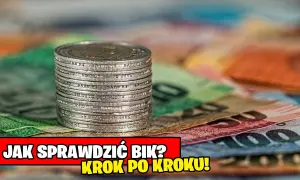 Jak szybko i skutecznie sprawdzić swoje zadłużenie w BIK – krok po kroku
